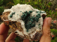 Natural Rare Ball Malachite On Drusi Quartz & Dolomite Matrix  x 2 From Kambove, Congo - Toprock Gemstones and Minerals 