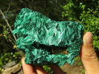 Natural Chatoyant Silky Malachite Specimens  x 2 From Congo - Toprock Gemstones and Minerals 