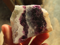 Polished Watermelon Fluorite Slices  x 12 From Namibia