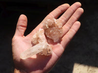 Natural Small Mixed Quartz Clusters  x 24 From Madagascar - TopRock