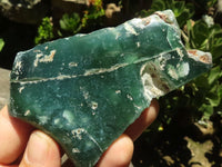 Natural Emerald Mtorolite / Chrome Chrysoprase Plates  x 12 From Mutorashanga, Zimbabwe - TopRock