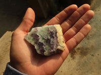 Polished Watermelon Fluorite Slices  x 12 From Namibia