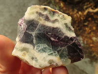 Polished Watermelon Fluorite Slices  x 12 From Namibia