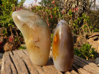 Polished Groovy Agate Standing Free Forms x 2 From Madagascar