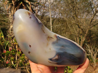 Polished Groovy Agate Standing Free Forms x 2 From Madagascar