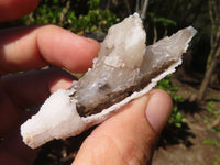 Natural Drusi Quartz Coated Calcite Spearhead Crystals  x 12 From Alberts Mountain, Lesotho - Toprock Gemstones and Minerals 