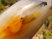 Polished Groovy Agate Standing Free Forms x 2 From Madagascar