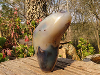 Polished Groovy Agate Standing Free Forms x 2 From Madagascar