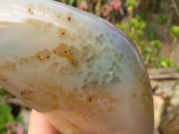 Polished Groovy Agate Standing Free Forms x 2 From Madagascar