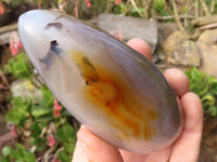 Polished Groovy Agate Standing Free Forms x 2 From Madagascar