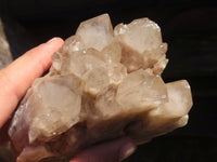 Natural White Phantom Smokey Quartz Clusters  x 2 From Luena, Congo - Toprock Gemstones and Minerals 