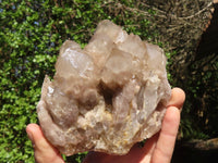 Natural White Phantom Smokey Quartz Clusters  x 2 From Luena, Congo - Toprock Gemstones and Minerals 