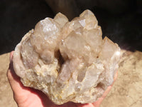 Natural White Phantom Smokey Quartz Clusters  x 2 From Luena, Congo - Toprock Gemstones and Minerals 