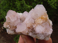 Natural Pale Spirit Ametrine Quartz Clusters  x 6 From Boekenhouthoek, South Africa - Toprock Gemstones and Minerals 