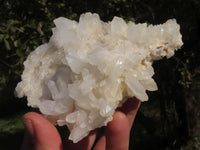 Natural Selected Quartz Clusters With Large Intact Crystals  x 6 From Madagascar - TopRock