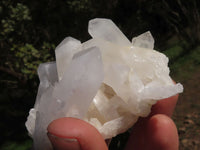 Natural Selected Quartz Clusters With Large Intact Crystals  x 6 From Madagascar - TopRock