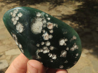 Polished Emerald Mtorolite / Chrome Chrysoprase Plates x 7 From Mutorashanga, Zimbabwe - TopRock