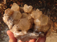 Natural Cascading White Phantom Smokey Quartz Clusters x 3 From Luena, Congo