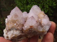 Natural Pale Spirit Ametrine Quartz Clusters  x 6 From Boekenhouthoek, South Africa - Toprock Gemstones and Minerals 