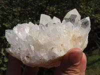 Natural Selected Quartz Clusters With Large Intact Crystals  x 6 From Madagascar - TopRock