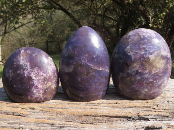 Polished Purple Lepidolite Standing Free Forms With Pink Rubellite Spots  x 3 From Madagascar - TopRock