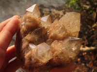 Natural Cascading White Phantom Smokey Quartz Clusters x 3 From Luena, Congo