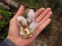 Natural Pale Spirit Ametrine Quartz Clusters  x 6 From Boekenhouthoek, South Africa - Toprock Gemstones and Minerals 