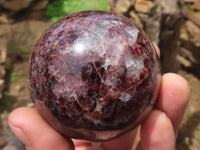 Polished Pyrope Matrix Garnet Spheres  x 6 From Madagascar - TopRock