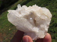 Natural Selected Quartz Clusters With Large Intact Crystals  x 6 From Madagascar - TopRock