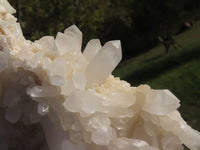 Natural Selected Quartz Clusters With Large Intact Crystals  x 6 From Madagascar - TopRock