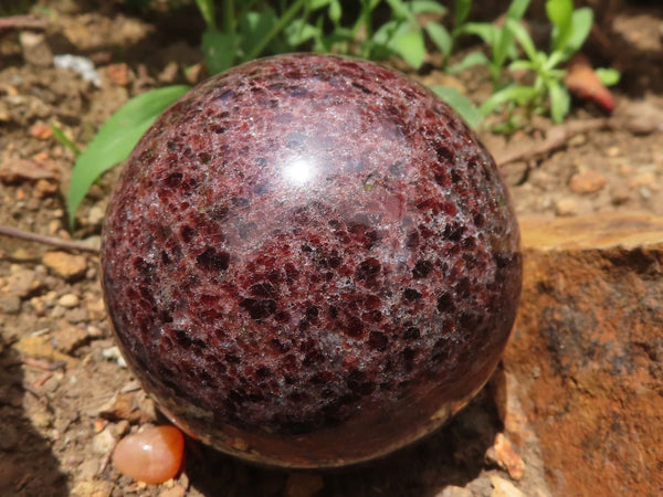 Polished Pyrope Matrix Garnet Spheres  x 6 From Madagascar - TopRock