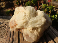 Natural Rare Large Bladed Barite Specimen  x 1 From Congo