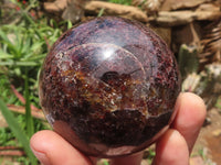 Polished Pyrope Matrix Garnet Spheres  x 6 From Madagascar - TopRock