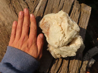 Natural Rare Large Bladed Barite Specimen  x 1 From Congo