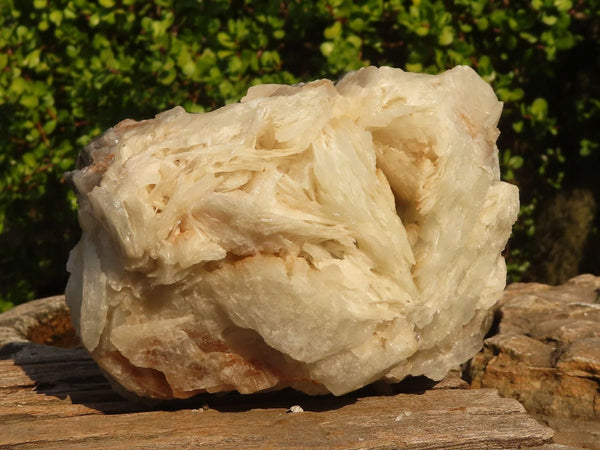 Natural Rare Large Bladed Barite Specimen x 1 From Congo