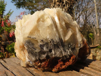 Natural Rare Large Bladed Barite Specimen  x 1 From Congo