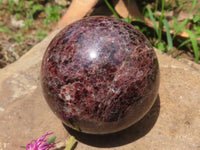 Polished Pyrope Matrix Garnet Spheres  x 6 From Madagascar - TopRock