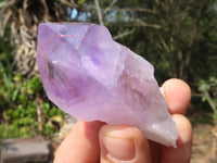 Natural Single Jacaranda Amethyst Crystals  x 24 From Mumbwa, Zambia - Toprock Gemstones and Minerals 