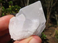 Natural Highly Selected White Quartz Specimens  x 12 From Madagascar - Toprock Gemstones and Minerals 