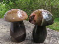 Polished Polychrome / Picasso Jasper Mushrooms  x 6 From Mahajanga, Madagascar - TopRock