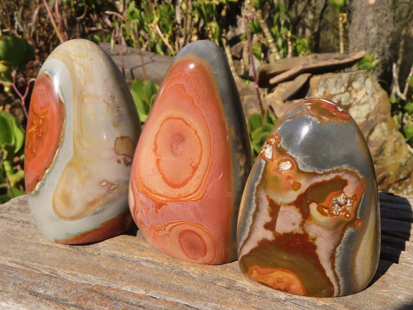 Polished Polychrome Jasper Standing Free Forms  x 3 From Madagascar