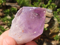 Natural Single Jacaranda Amethyst Crystals  x 24 From Mumbwa, Zambia - Toprock Gemstones and Minerals 