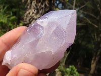 Natural Single Jacaranda Amethyst Crystals  x 24 From Mumbwa, Zambia - Toprock Gemstones and Minerals 