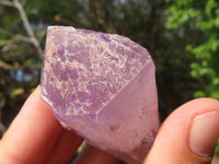 Natural Single Jacaranda Amethyst Crystals  x 24 From Mumbwa, Zambia - Toprock Gemstones and Minerals 