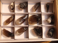 Natural Smokey Quartz Crystals x 12 From Zomba, Malawi