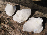 Natural Highly Selected White Quartz Specimens  x 12 From Madagascar - Toprock Gemstones and Minerals 