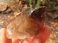 Natural Smokey Quartz Crystals x 12 From Zomba, Malawi