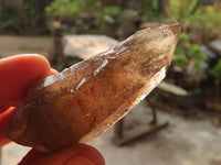 Natural Smokey Quartz Crystals x 12 From Zomba, Malawi