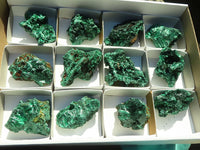 Natural Chatoyant Silky Malachite Specimens  x 12 From Kasompe, Congo - TopRock