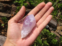 Natural Single Jacaranda Amethyst Crystals  x 24 From Mumbwa, Zambia - Toprock Gemstones and Minerals 